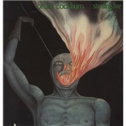 Click here for more info about 'Stealing Fire'