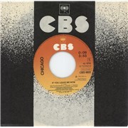 Chicago If You Leave Me Now Netherlands 7" vinyl
