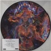 Click here for more info about 'The Feminine Divine - Picture Disc + Autographed PVC Sleeve'