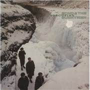 Click here for more info about 'Porcupine - VG Sleeve'