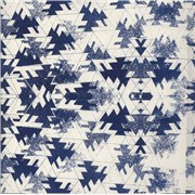 Click here for more info about 'Two Different Ways - Blue Printed Sleeve'