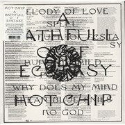 Click here for more info about 'Hot Chip - A Bath Full Of Ecstasy - 180gram Orange & Blue Vinyl - Autographed'