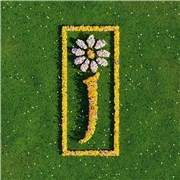 James Nothing But Love | The Definitive Best Of - Deluxe 5-LP Vinyl Edition - Sealed UK vinyl box set