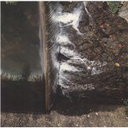 Click here for more info about 'Phosphenes'