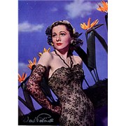 Click here for more info about 'Joan Fontaine - Autographed Picture'