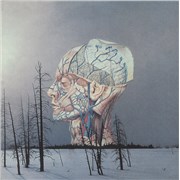 Low Songs For A Dead Pilot USA 12" vinyl