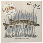 Nick Lowe Lay It On Me - Autographed USA 12" vinyl