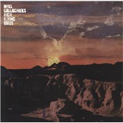 Noel Gallagher If Love Is The Law UK 12" vinyl