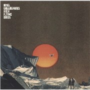 Noel Gallagher She Taught Me How To Fly UK 12" vinyl