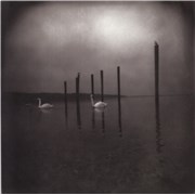 OM Conference Of The Birds USA vinyl LP