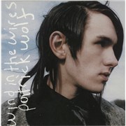 Click here for more info about 'Patrick Wolf - Wind In The Wires '