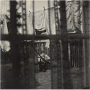 Click here for more info about 'Paul McCartney and Wings - Chaos And Creation In The Backyard - VG'