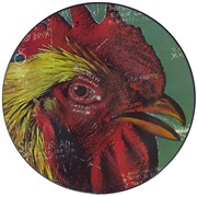 Click here for more info about 'Pavement - Watery, Domestic'