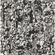 Click here for more info about 'Perspex Flesh - Ordered Image'