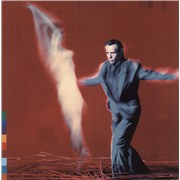 Click here for more info about 'Peter Gabriel - Us - 180gm'