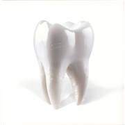 Click here for more info about 'Porij - Teething'