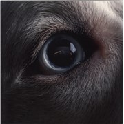 Click here for more info about 'Roger Waters - The Dark Side Of The Moon Redux - Black Vinyl'