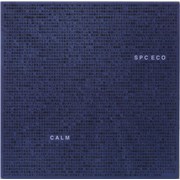 Click here for more info about 'SPC ECO - Calm - Blue Vinyl - Autographed'