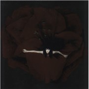 Click here for more info about 'Smashing Pumpkins - Adore - Foil Metallic Cover'
