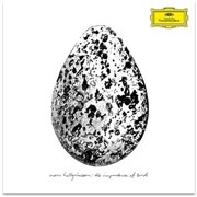 Click here for more info about 'Snorri Hallgrmsson - The Importance Of Birds - Black Vinyl - Sealed'