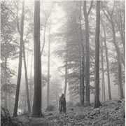 Click here for more info about 'Folklore - Coffee Brown Vinyl & 'In The Trees' Sleeve'