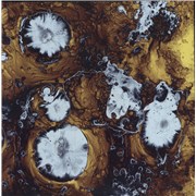 Click here for more info about 'Infinite Games'