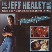 Click here for more info about 'The Jeff Healey Band - When The Night Comes Falling From The Sky'