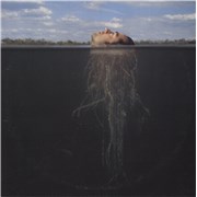 Click here for more info about 'De-Loused In The Comatorium'