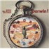 Click here for more info about 'Banco - Darwin! - 180 Gram'
