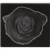 Click here for more info about 'Martyr + Slipcase'