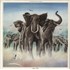 Click here for more info about 'Elvis Costello - Armed Forces'