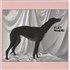 Click here for more info about 'Flat Worms - Flat Worms - White Vinyl'