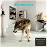 Click here for more info about 'Grinderman - Grinderman 2 - Black Eco Vinyl + 16-Page Booklet - Sealed'