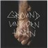 Click here for more info about 'Ground Unicorn Horn - Damn I Wish I Was Fat'