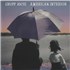 Click here for more info about 'Gruff Rhys - American Interior'
