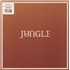 Click here for more info about 'Jungle - Volcano - Shrink & Sticker'