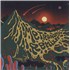 Click here for more info about 'Metronomy - Metronomy – Orange Vinyl - RSD20'