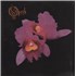 Click here for more info about 'Opeth - Orchid - 1st'