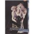 Click here for more info about 'Robert Plant - Fate Of Nations + Tickets'