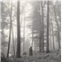 Click here for more info about 'Folklore - Coffee Brown Vinyl & 'In The Trees' Sleeve'