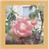 Click here for more info about 'The Reds, Pinks And Purples - Summer At Land's End - Yellow Vinyl'