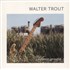 Click here for more info about 'Walter Trout Band - Common Ground - White Vinyl'