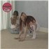 Click here for more info about 'Wet Leg - Moisturizer - Clear Vinyl - Sealed'